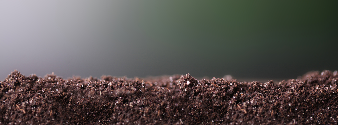 https://9252743.fs1.hubspotusercontent-na1.net/hubfs/9252743/Hero%20Images%20-%20Active%20Soils.png